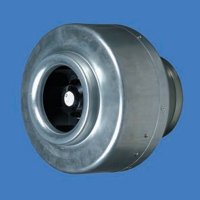 IMPACT ZONE SERVICES SRL 20231